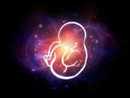 怀孕初期胚胎自己流掉后怎么处理,那些流产后的胎儿去了哪里