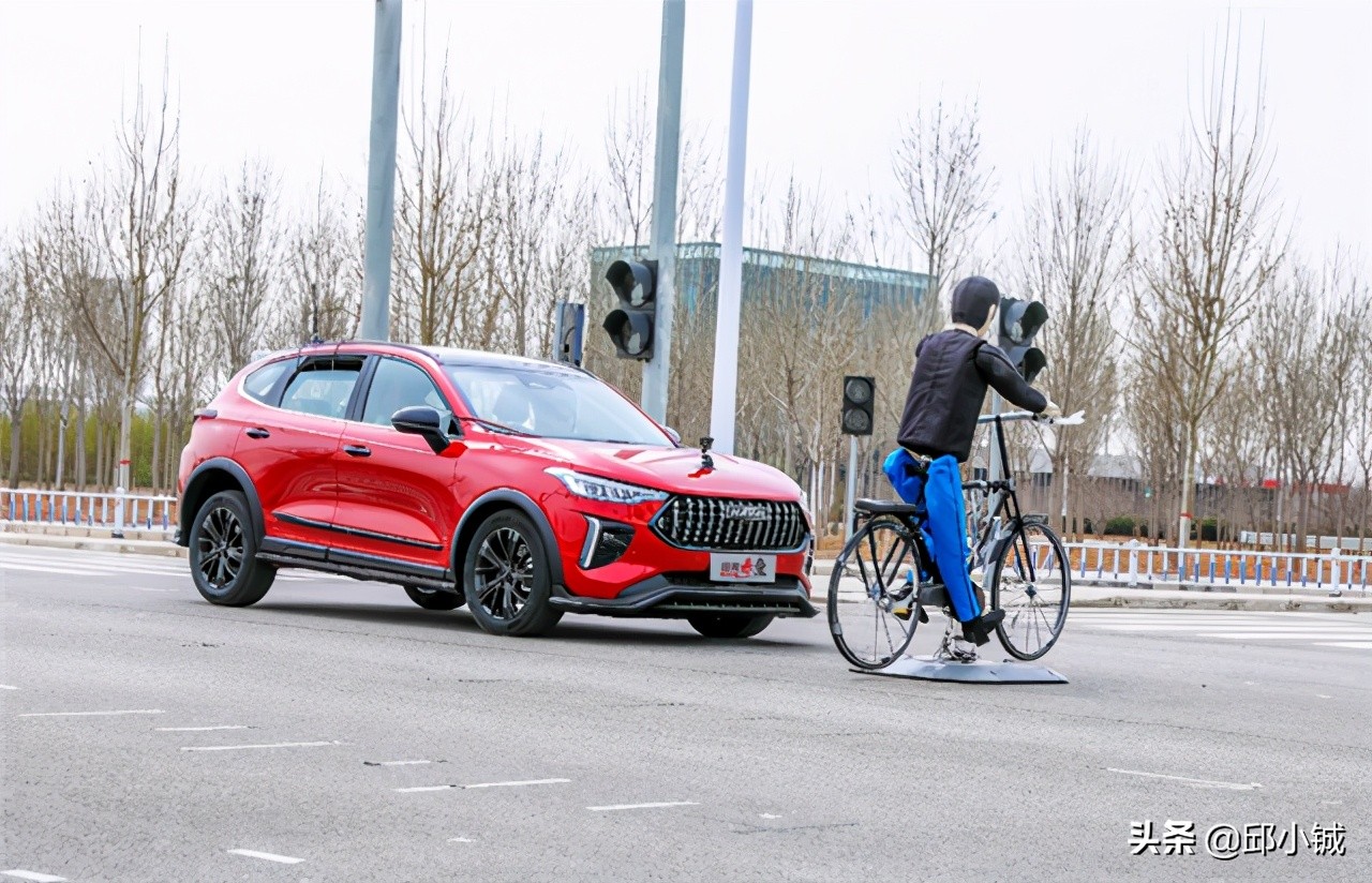 赤兔有啥区别,赤兔是哪个马种