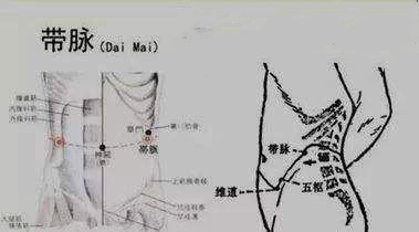 奇经八脉与十二经脉循行动态图,奇经八脉中任督二脉的循行分布