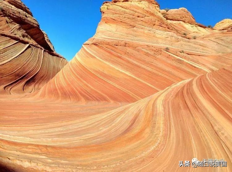 荒野乱斗流彩伊芙强度,荒野行动榴弹怎么用