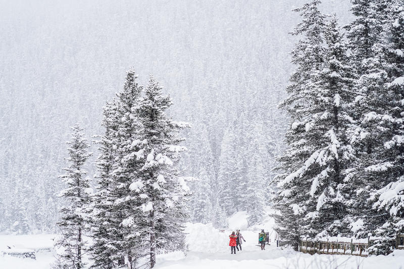 加拿大魁北克冰雪节,加拿大艾伯塔省节