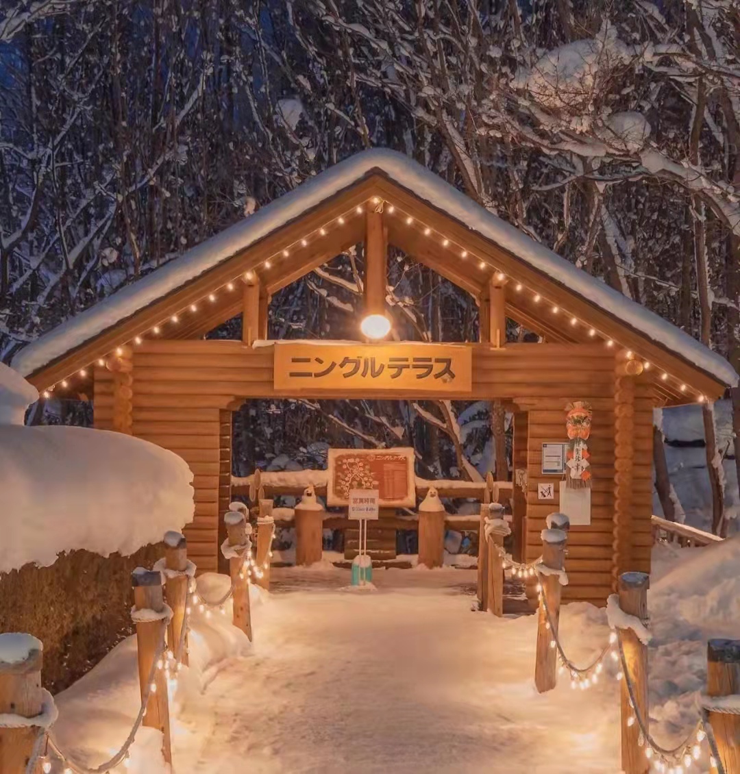 那些小说里惊艳了你的文案,那些堪称神来之笔的小说开头文案