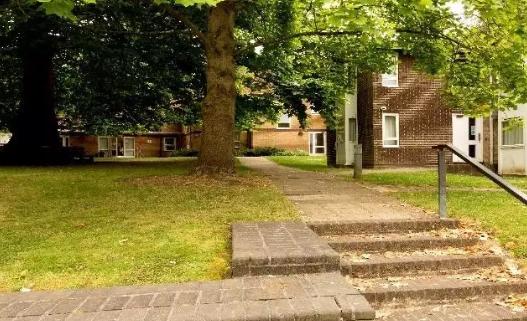 牛津公学国际学校,牛津国际公学最新进展