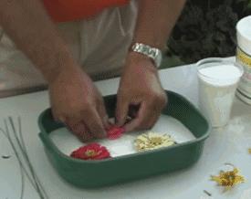 10个高颜值干花教程美爆了附教程,干花制作5朵花教程