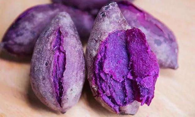 兽医推荐8种对狗狗有益的食物,狗狗有点便秘给它吃点什么好