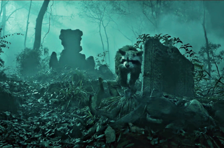 怒晴湘西探险之路,怒晴湘西画面色调像电影