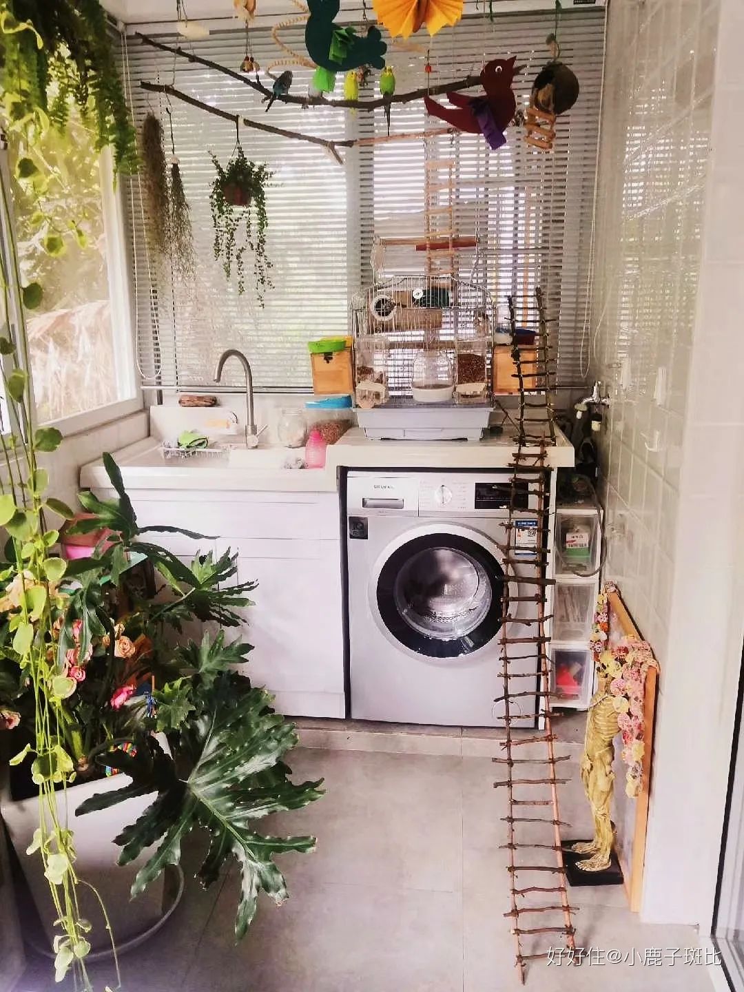 居然把生活过成了这个样子,竟然把自己的日子过成这个样