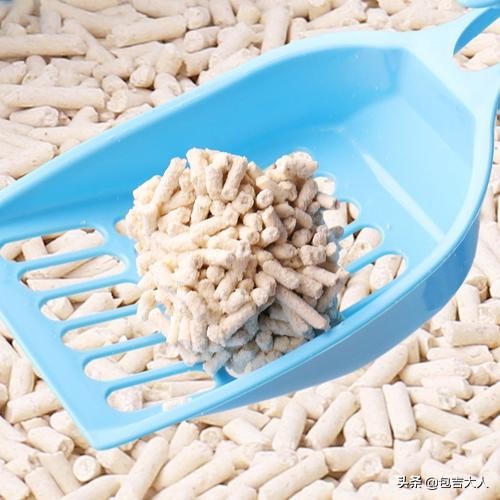 养猫经验杂谈论文摘要大全,养猫经验大分享