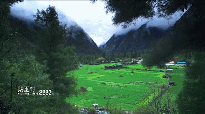 有一种风情叫江南烟雨,波密塞外江南