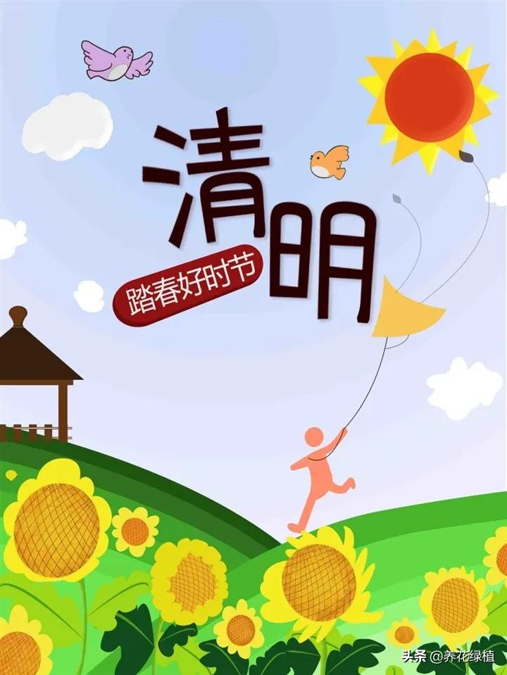 今天清明是晴天好还是下雨好,清明节前一天下雨有什么说法