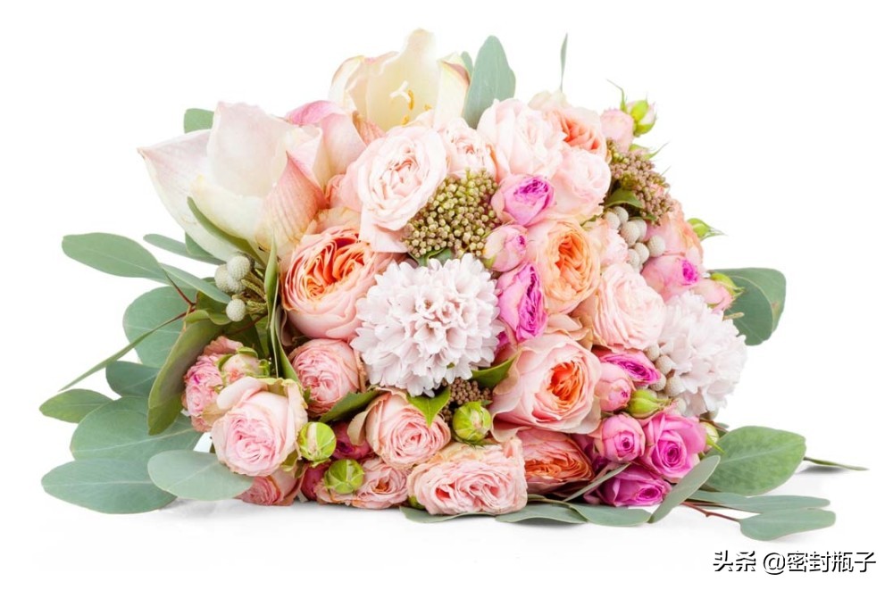 小本生意创业技巧有哪些,小本创业项目小技巧