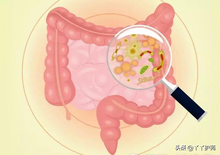 防癌体检该查什么、怎么查？快收藏八大癌症筛查方法......