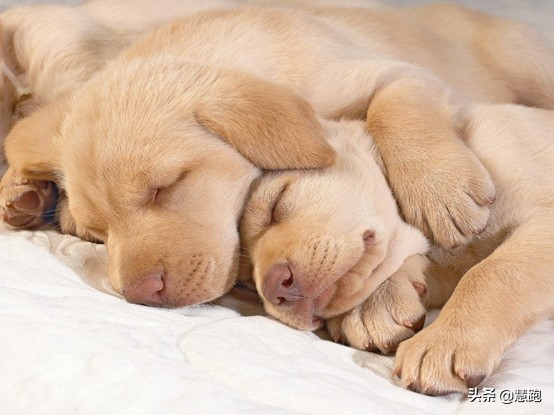 广马备战,广马赛前准备