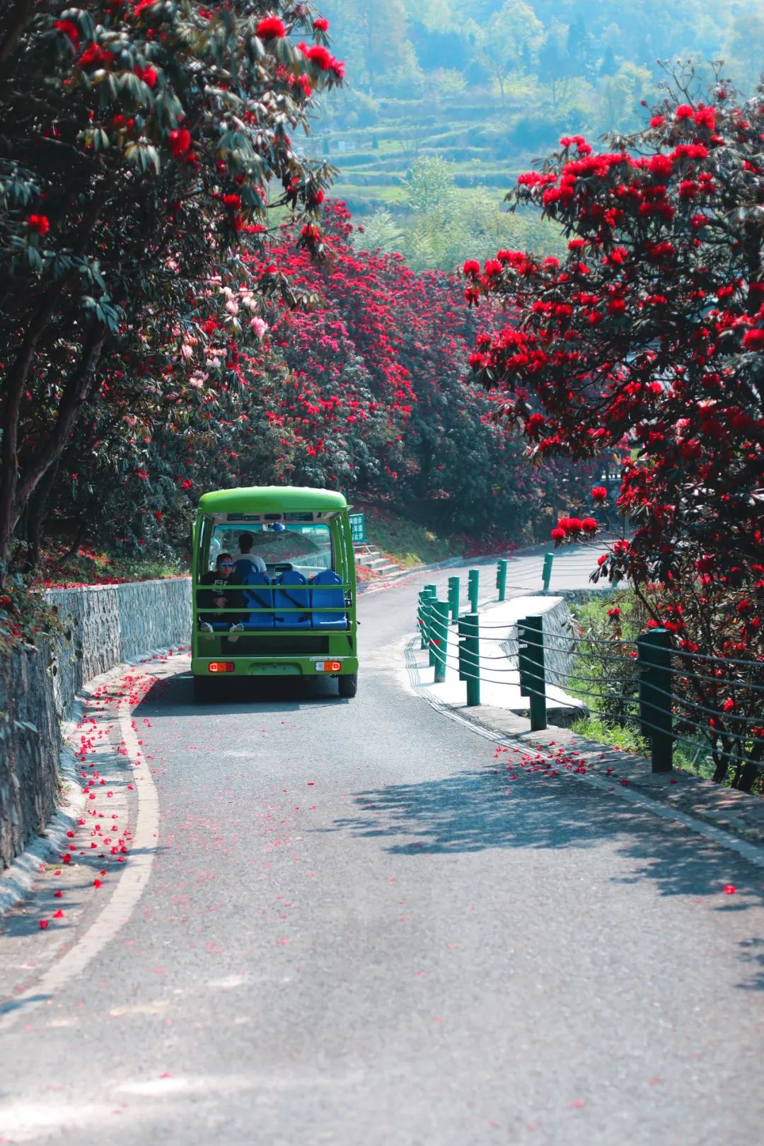 贵州有好多景点,贵州今年比较火的景点