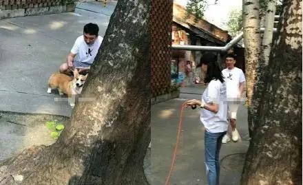 王思聪感情经历,王思聪感情历史