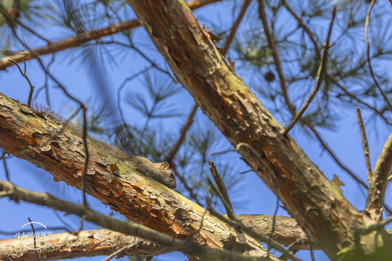 合肥万佛湖二日游攻略,合肥市区旅游攻略一日游