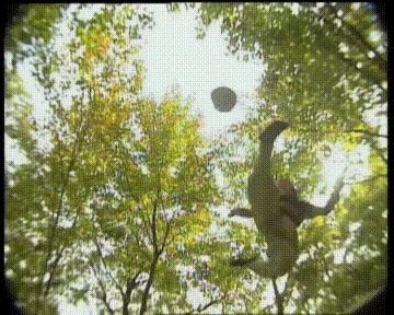 一脚定江山张俊换球鞋,一脚定江山范教头