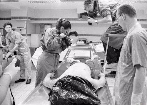 成功处理尸体,专业人士处理尸体