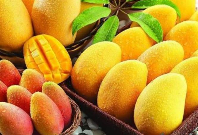 可以吃芒果但不宜吃得过多,爱吃芒果的一定要注意什么