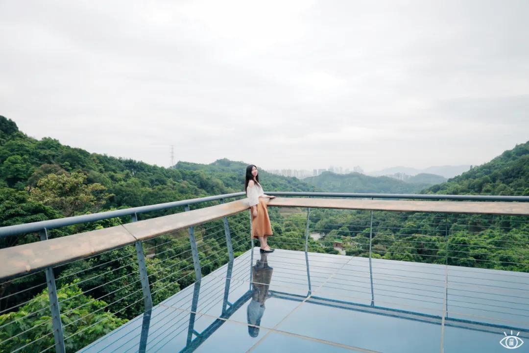 深圳这10条绿道你去过没,深圳十大绿道排行榜