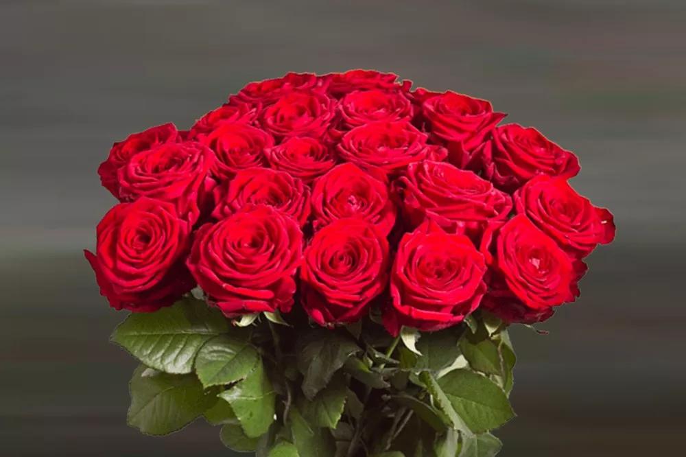 花店必备的5款玫瑰,花店常用的10款玫瑰花是哪些品种