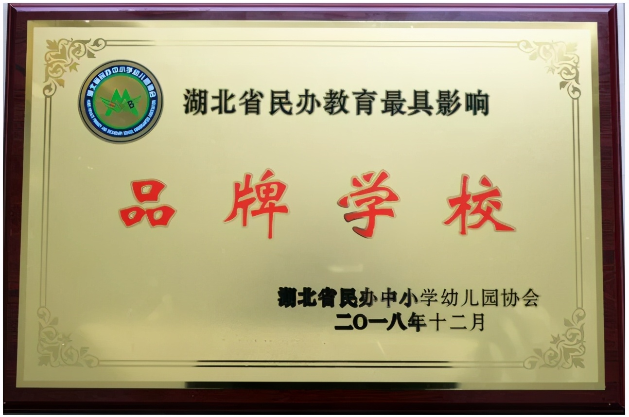 2019江汉校园足球,湖北高校足球最厉害大学球队