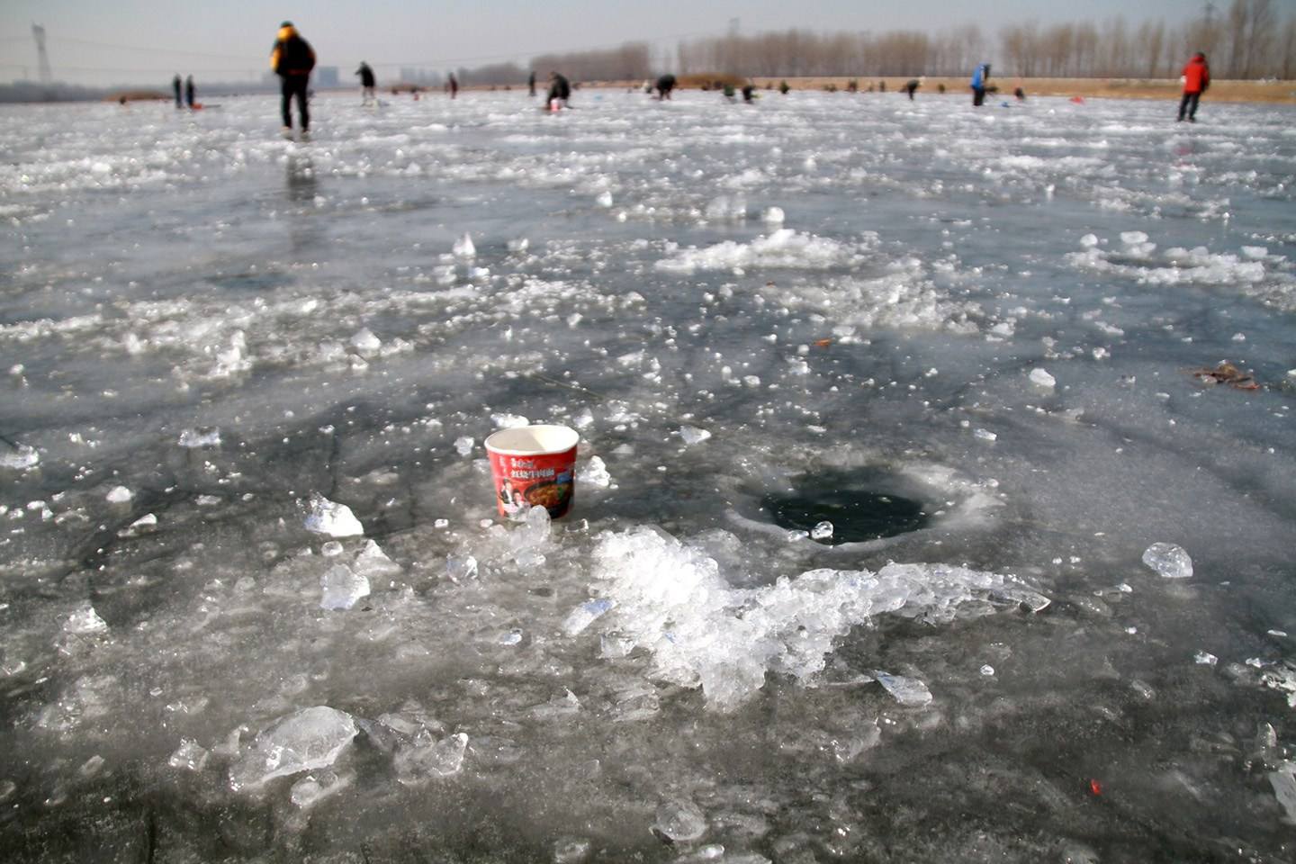 钓鱼高手个个都是钓鱼高手,钓鱼高手怎么升级最快