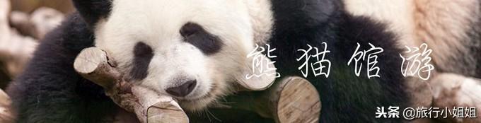 天目湖加南山竹海哪里泡温泉好,天目湖度假秘境享受绝美自然山水