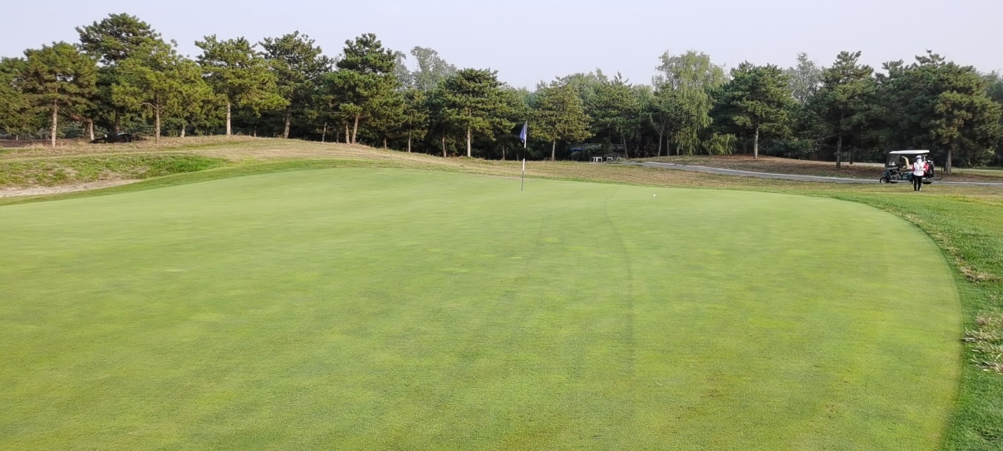 北京cbd国际高尔夫球场,北京金帝高尔夫球场