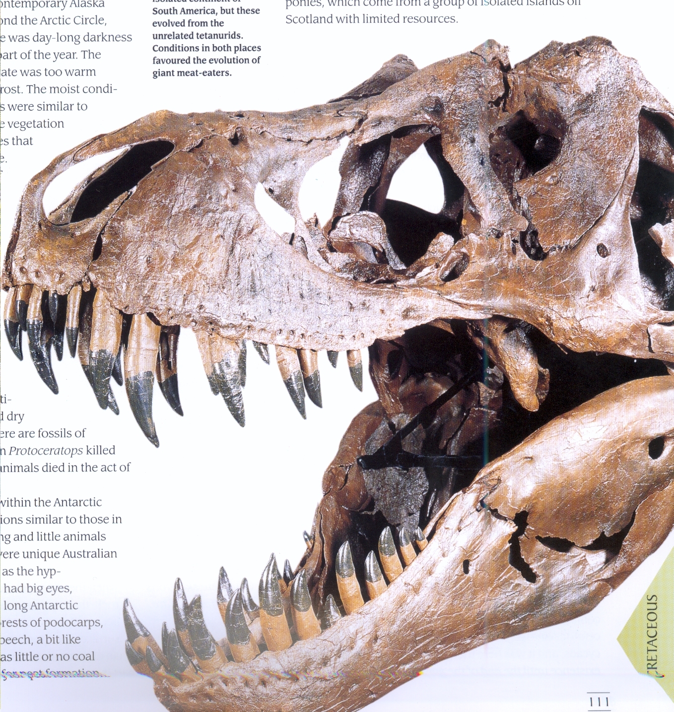 恐龙是如何灭绝的通关,恐龙是如何灭绝的300字