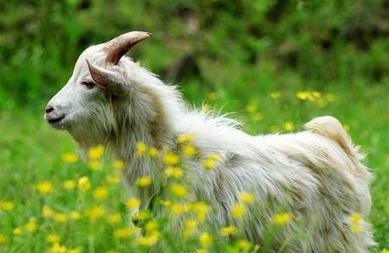 鐭冲搴勭浉浜查剻瑙嗛摼,鐭冲搴勫悇鍖洪剻瑙嗛摼