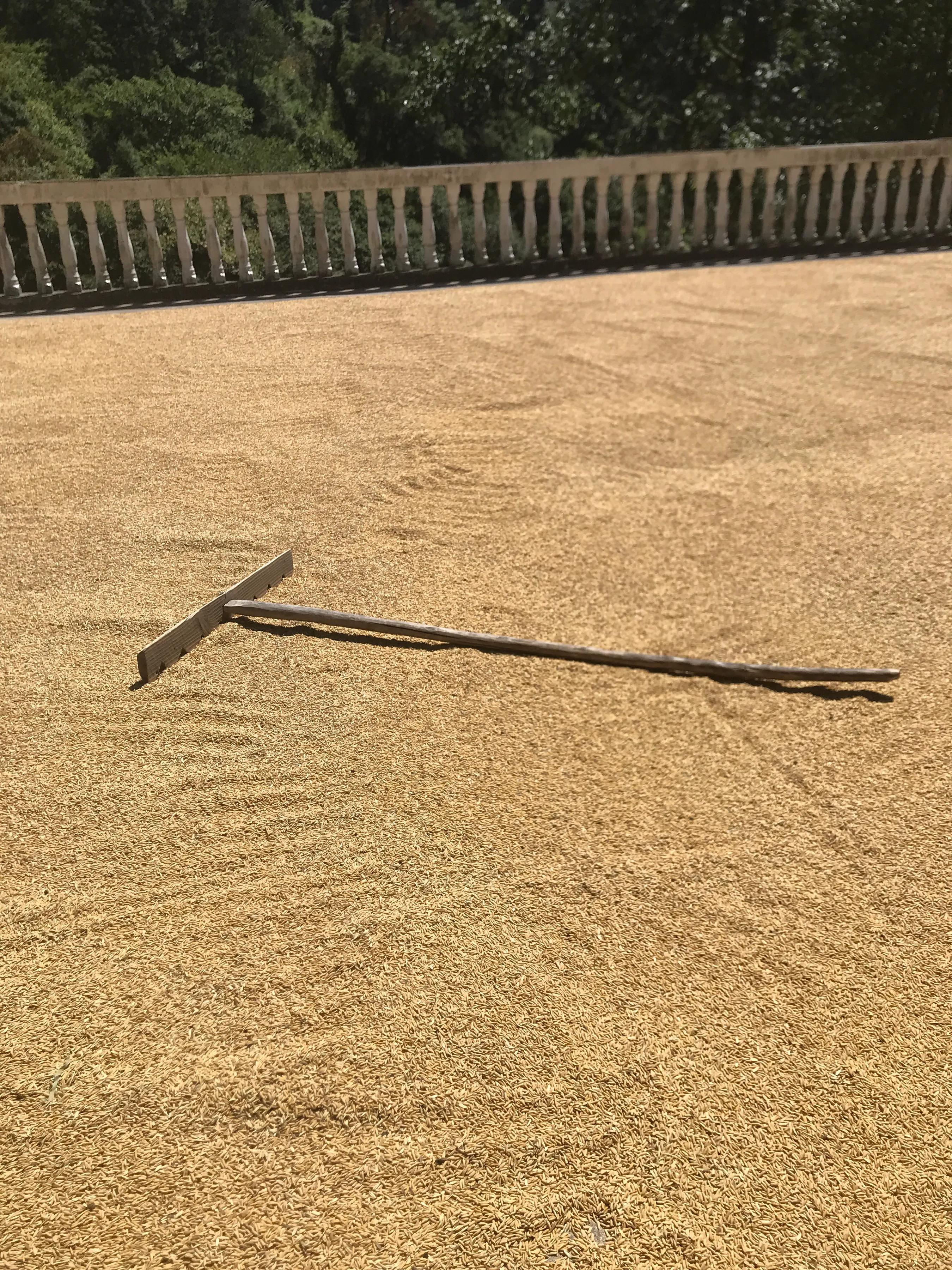 农村人种粮食，这些账必须要算清，算了才知道你的工钱是多少