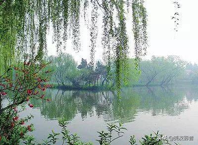 【美友博览】作家王蒙自传《半生多事·精彩与荒谬》