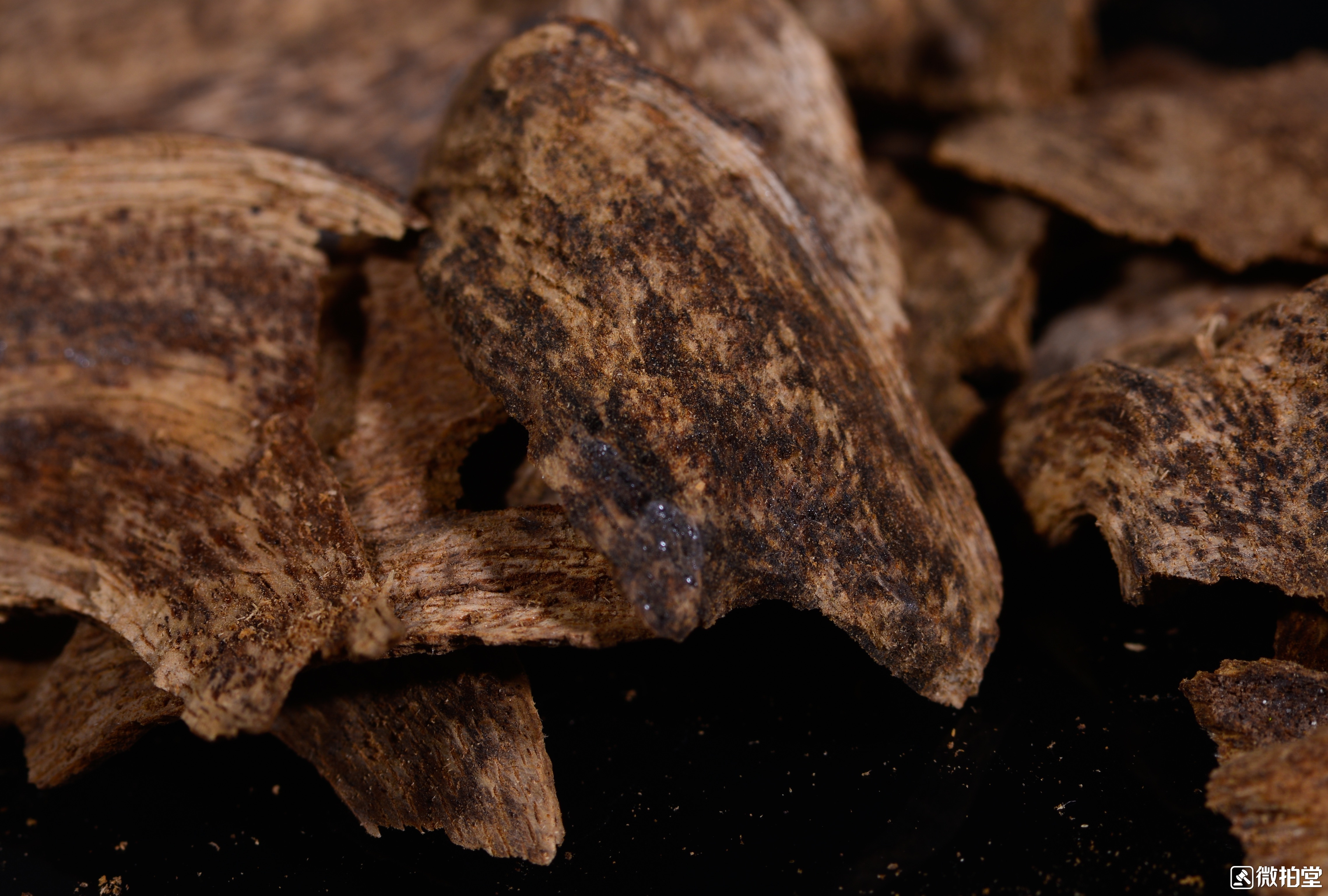 崖柏檀香沉香区别,沉香好还是崖柏好