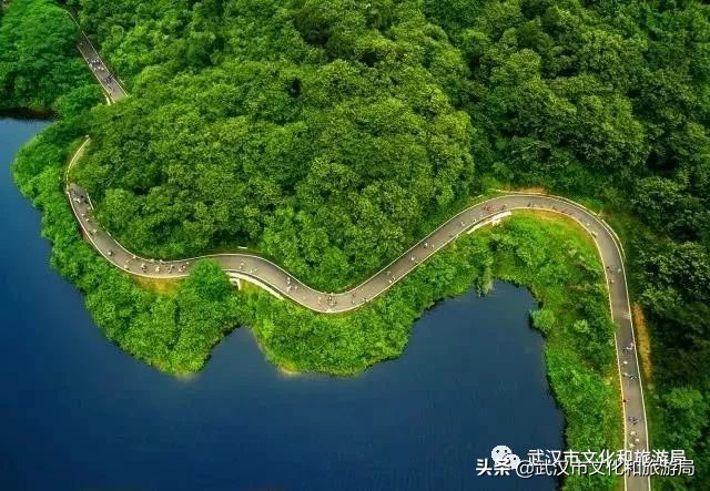 武汉环城绿道,武汉上半年全线贯通的新绿道