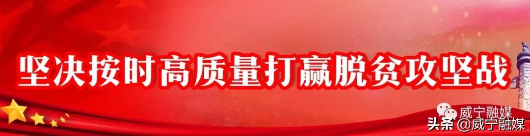 秀水镇：产业兴旺春潮涌