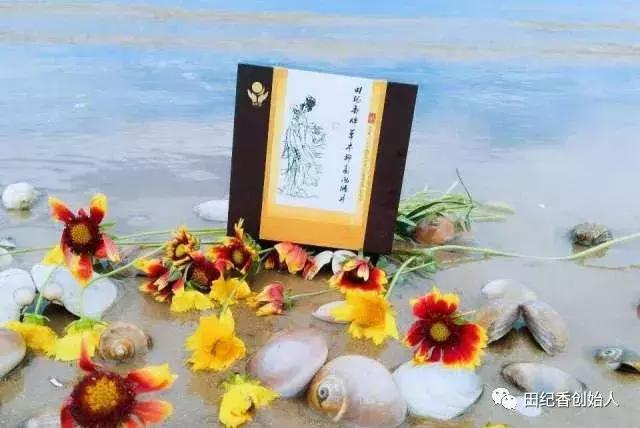 西安田纪香,田纪香总部