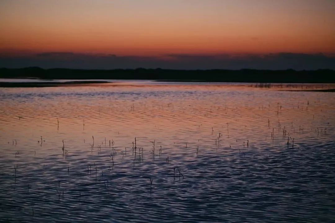 讲好黄河故事传承河洛文化,讲好黄河故事传承黄河文化内容