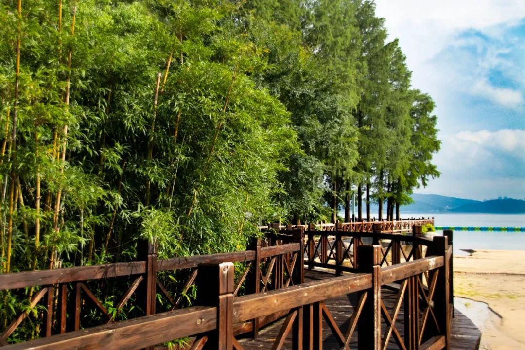 在海沙里打滚,东湖内藏着武汉“小巴厘”