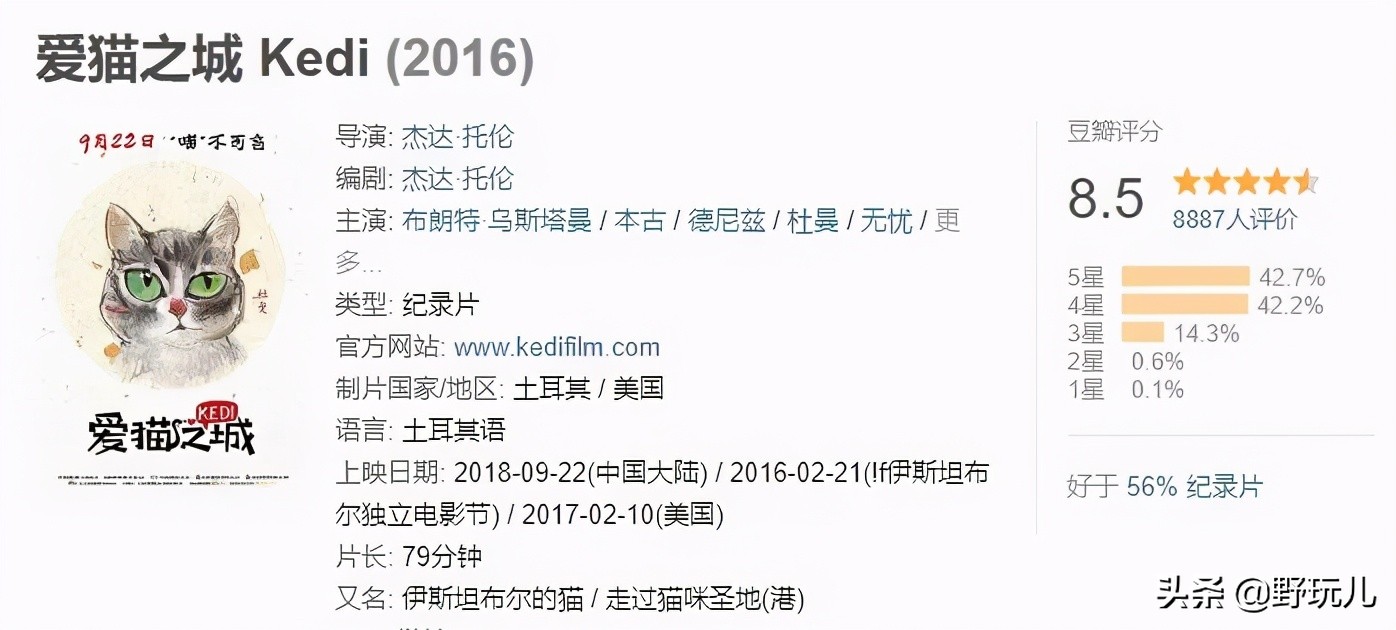 世界上最适合吸猫的城市,吸猫必去的十个地方