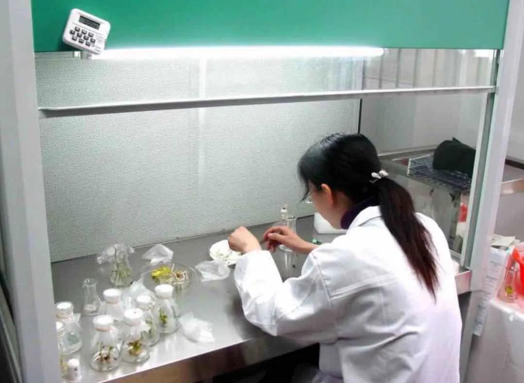 鑲ヤ埂娌冨湡绉嶄笟,鑲ヤ埂娌冨湡绉嶄笟鏈夐檺鍏徃鍦板潃