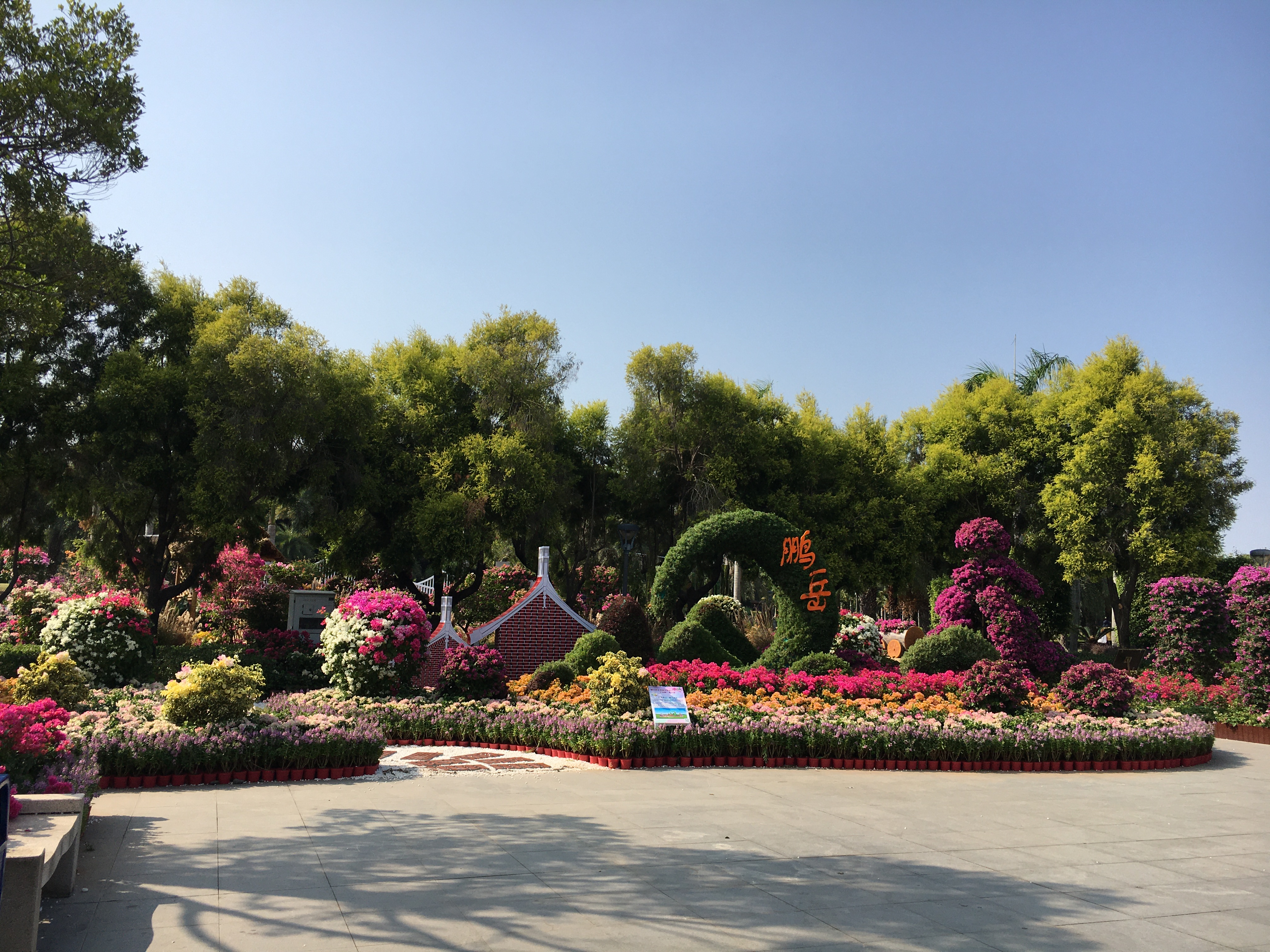 园博园旅行年卡 (旅游年卡 园博园)