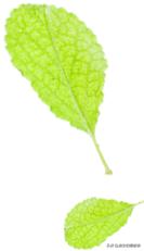 华润淮安区99mw风电项目,淮安风力发电项目