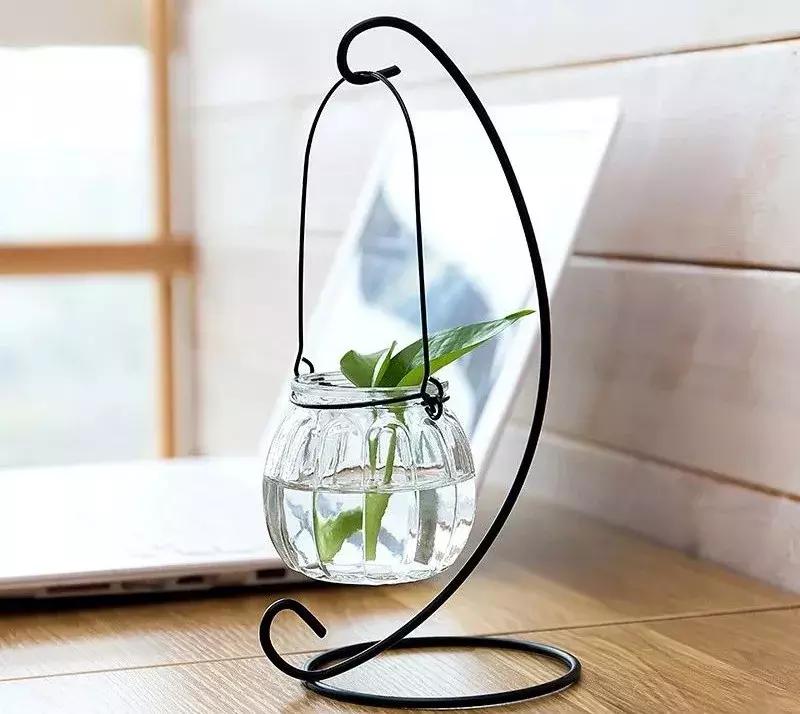 水培绿萝黄叶烂根的解决方法,水培绿萝烂根黄叶家庭小妙招