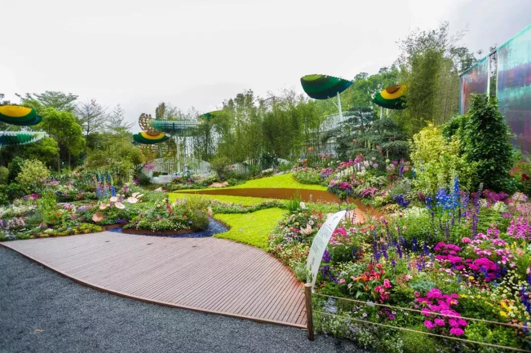 未来10天预警,深圳最最最最火的地方在这里,美女都赶来打卡