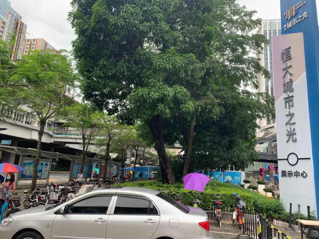 踩盘报告房价篇,刚需买房踩盘记录