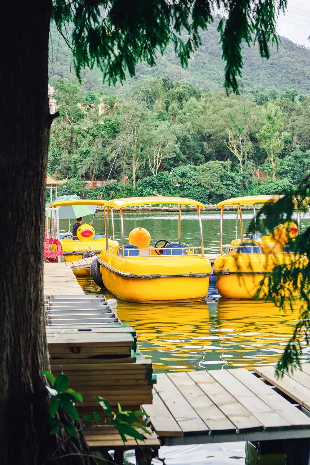 深圳银湖山游玩,深圳银湖有什么好玩的地方