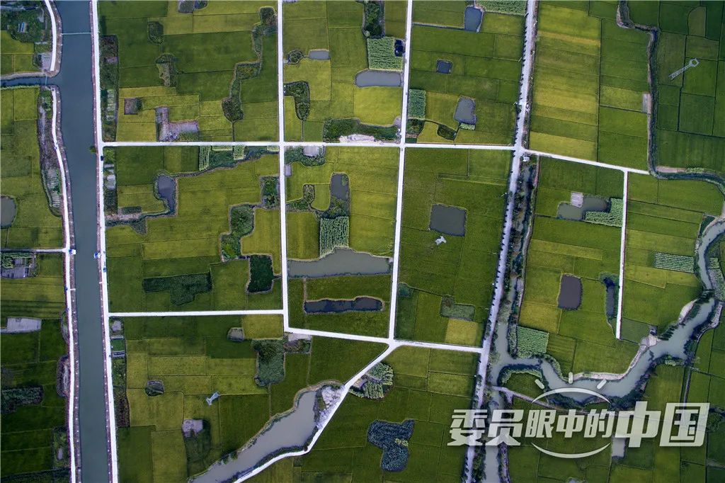 美丽中国中国篇,美丽中国双碳有我主题范文800字