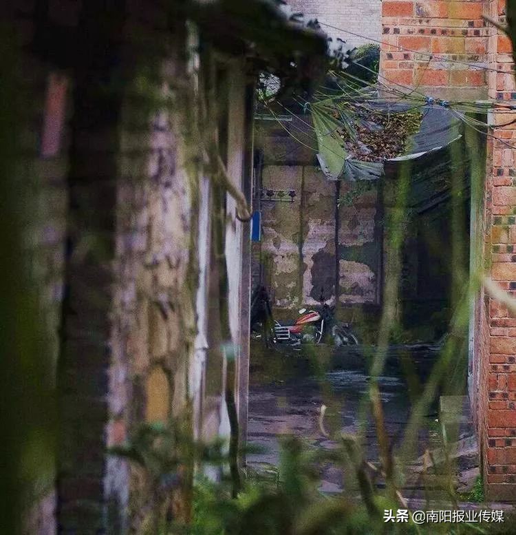 最浓南阳味儿丨工农南路：走进一段被岁月掩埋的时光