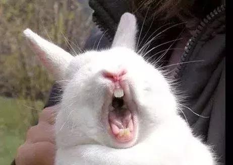 摸一摸就能怀孕？这真的不是都市传说